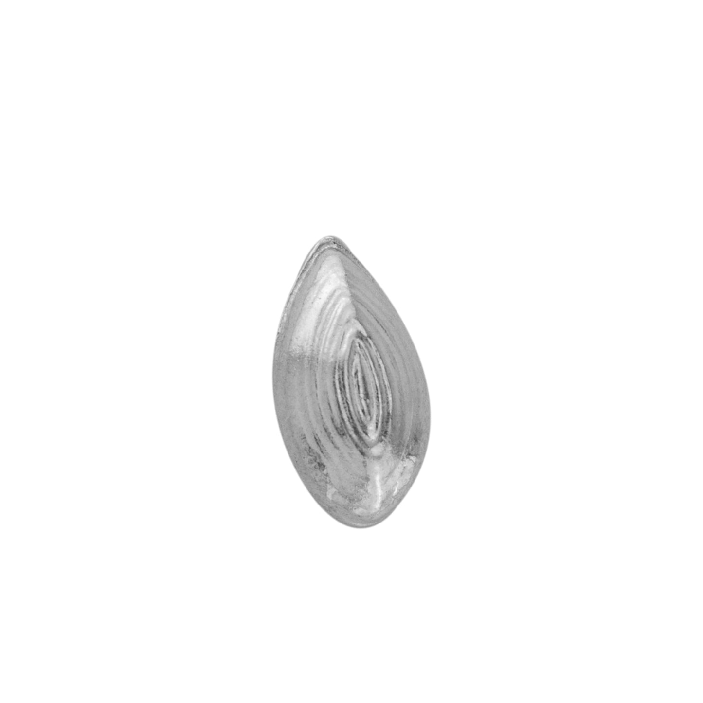 97%-99% Pure Silver Elaichi (Cardomom) for Puja Pooja, Gift, Holy Offering, Bhog, Mandir and Temple Decor (Pack of 2)